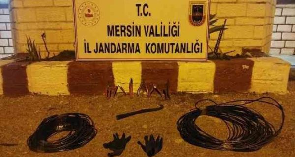 Mersin’de Kablo Hrszlar Yakaland