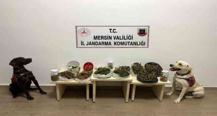 Mersin’de Uyuturucu Operasyonu